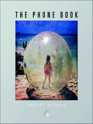 cover image of The Phone Book